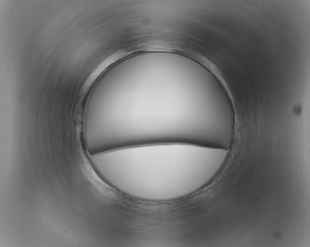X0000114031195200910021033