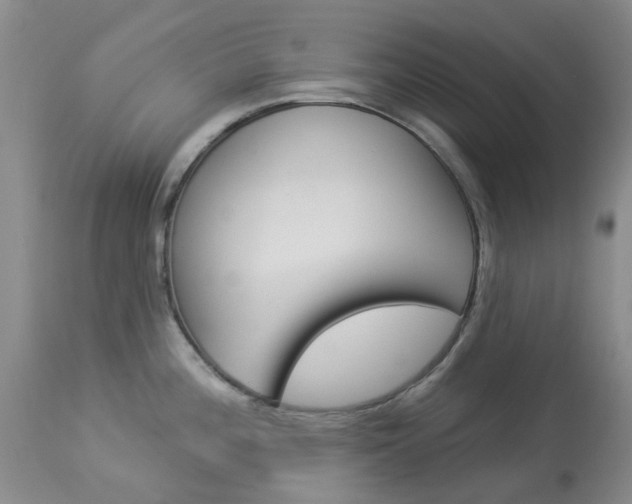 X0000114031196200910021033