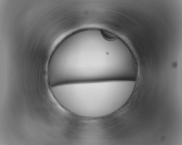X0000114031199200910021033