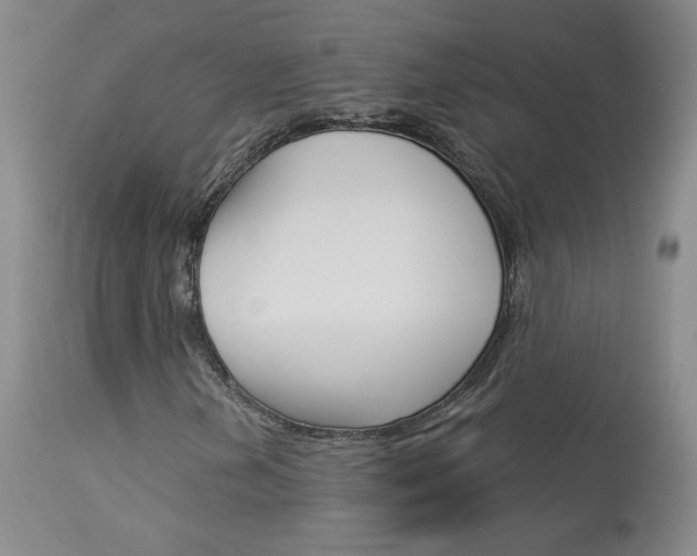 X0000114031202200910021032
