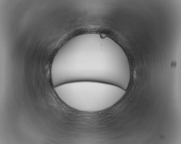 X0000114031204200910021033