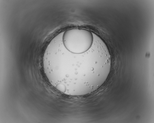 X0000114031205200910021033