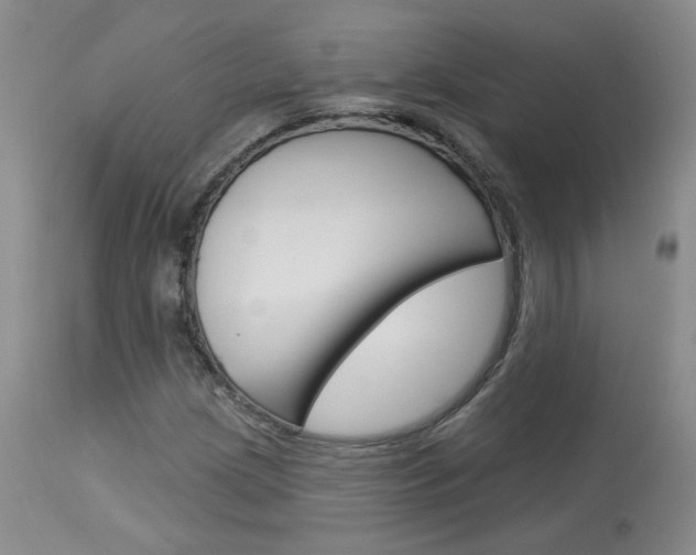 X0000114031209200910021033