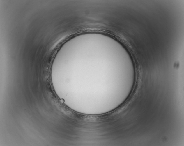 X0000114031211200910021033