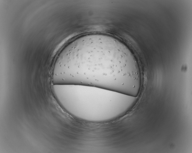 X0000114031212200910021033