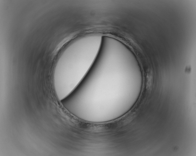 X0000114031213200910021033