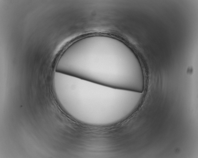 X0000114031214200910021033