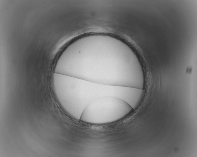 X0000114031215200910021033