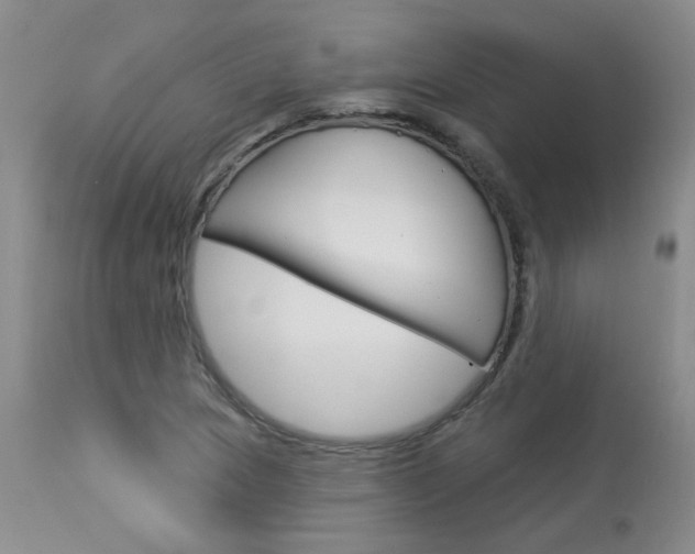 X0000114031217200910021033