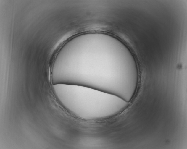 X0000114031219200910021033