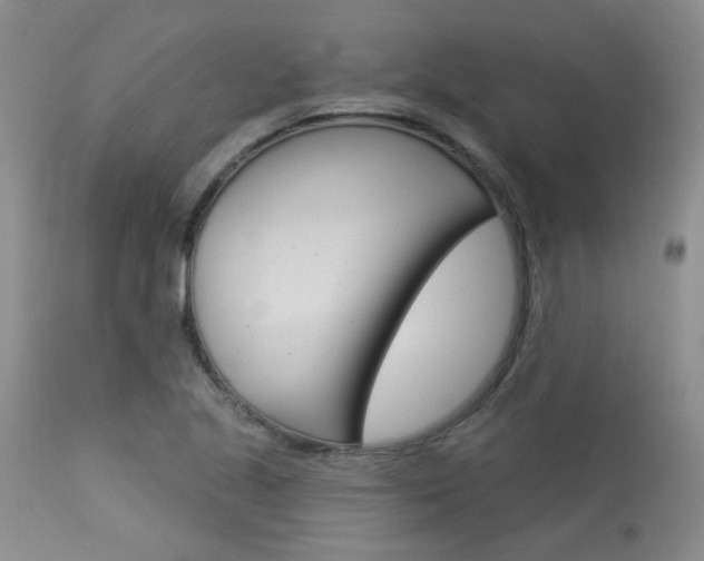 X0000114031221200910021033