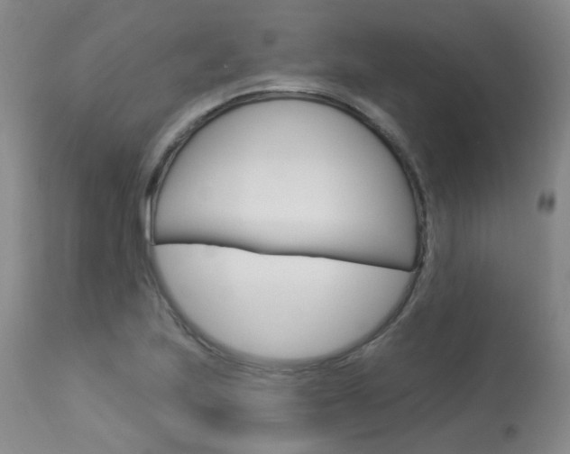 X0000114031223200910021033