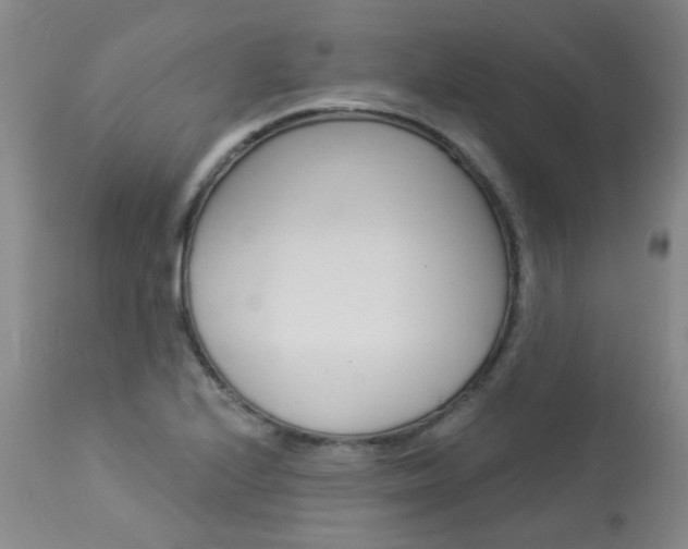 X0000114031224200910021033