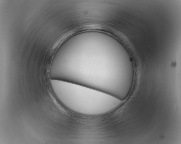 X0000114031225200910021033