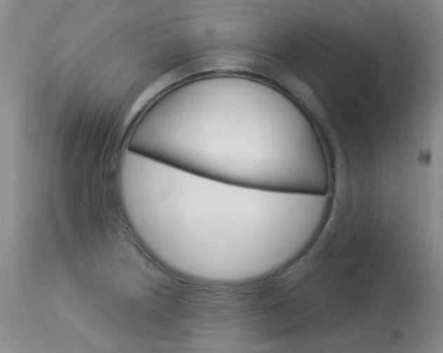 X0000114031226200910021033