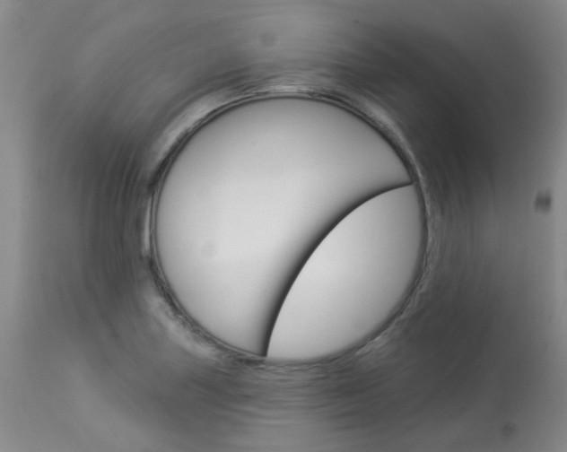 X0000114031227200910021033