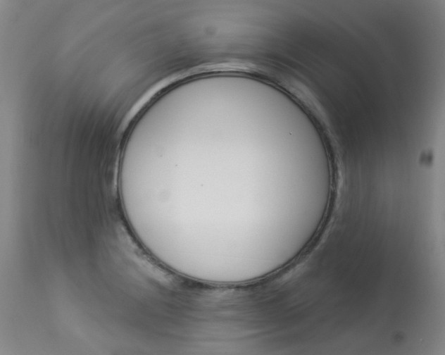 X0000114031228200910021033