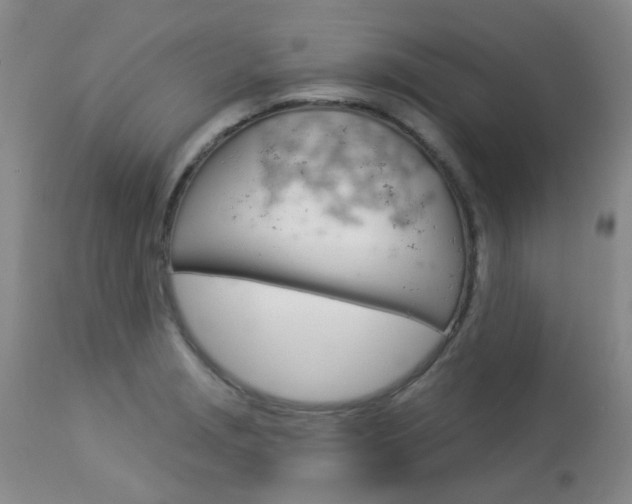 X0000114031229200910021033