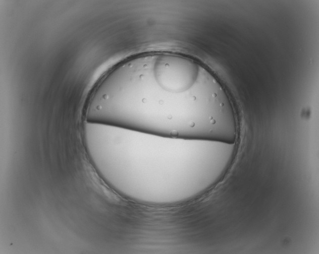 X0000114031230200910021033