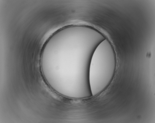 X0000114031231200910021033
