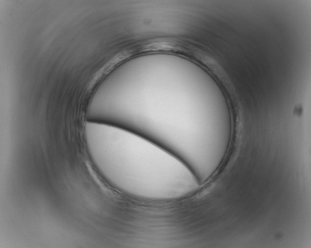 X0000114031233200910021033