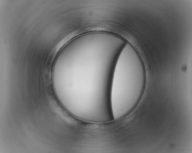 X0000114031234200910021033