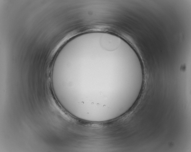 X0000114031235200910021033