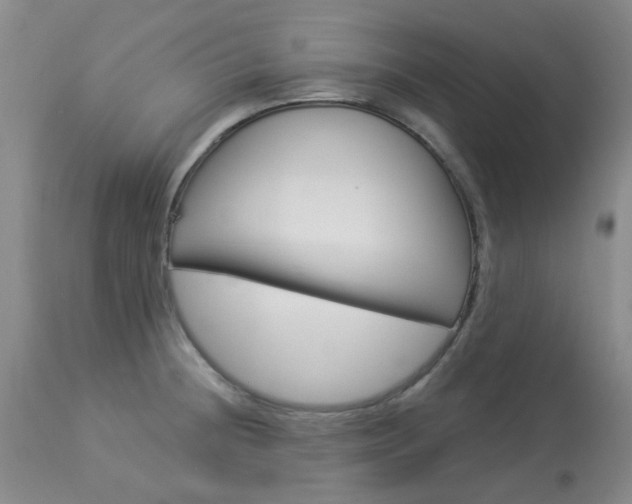 X0000114031236200910021033