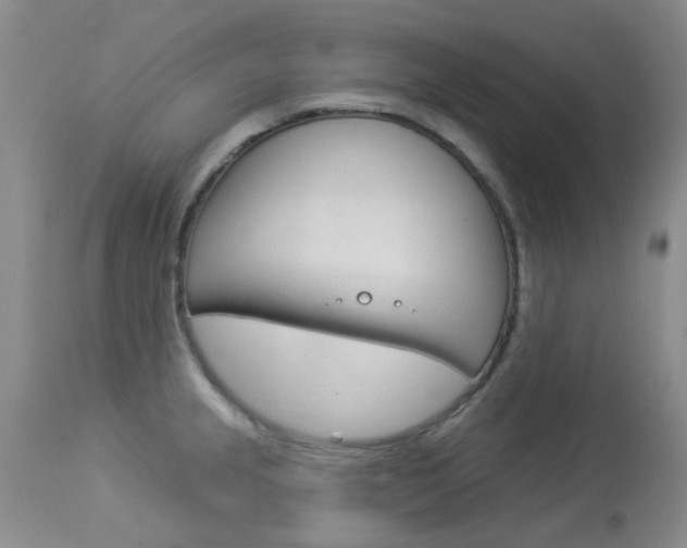 X0000114031237200910021033