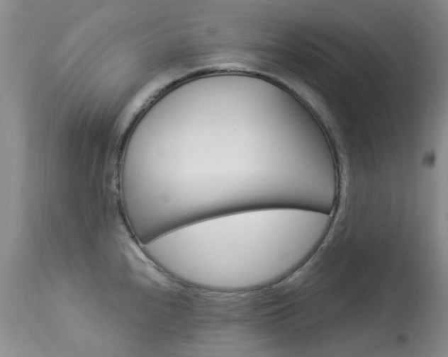 X0000114031240200910021033