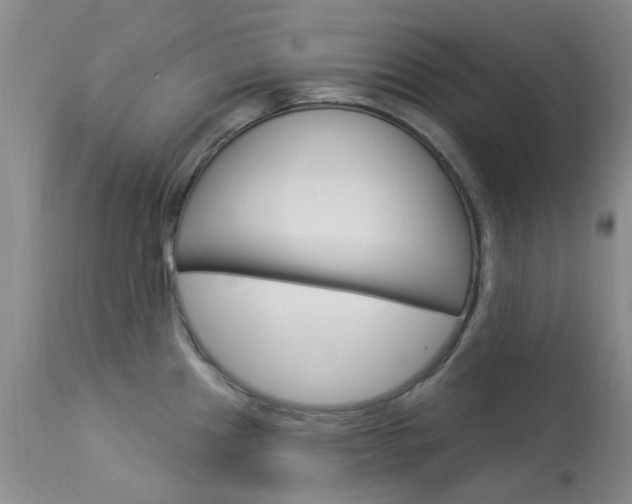 X0000114031241200910021033