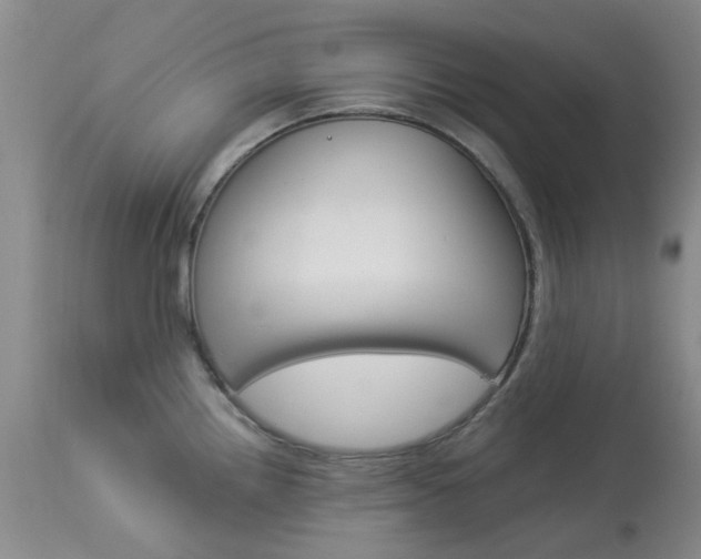 X0000114031242200910021033