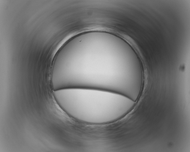 X0000114031244200910021033