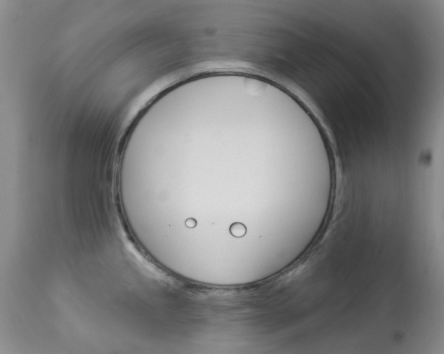 X0000114031245200910021033