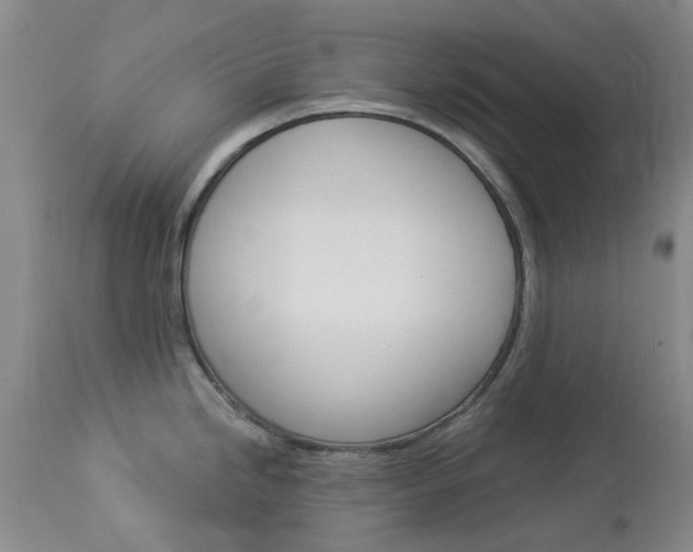 X0000114031246200910021033