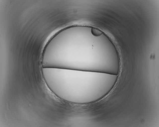 X0000114031248200910021033