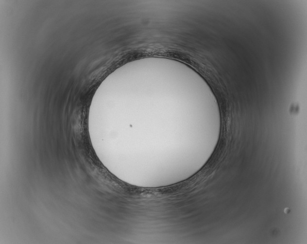 X0000114031250200910021032