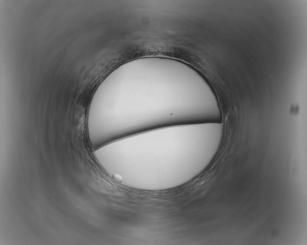 X0000114031251200910021032