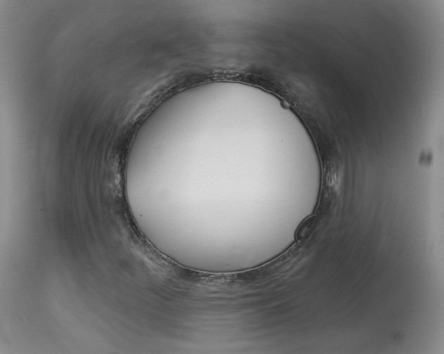 X0000114031252200910021032