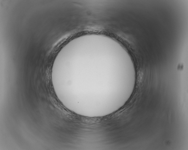 X0000114031254200910021032