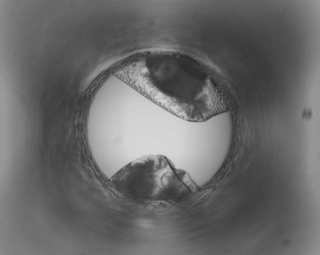 X0000114031255200910021032