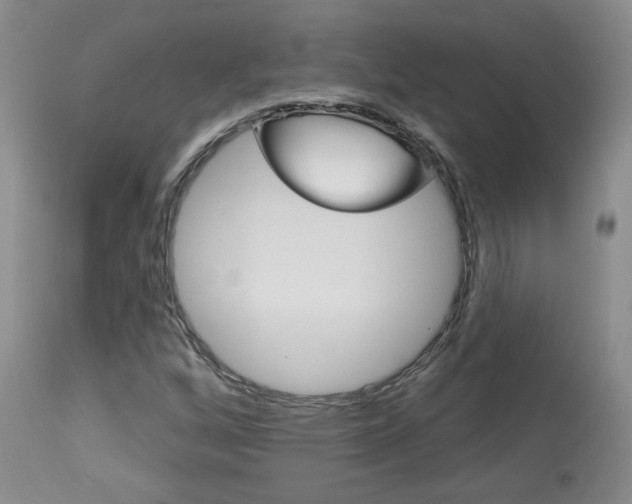 X0000114031256200910021032