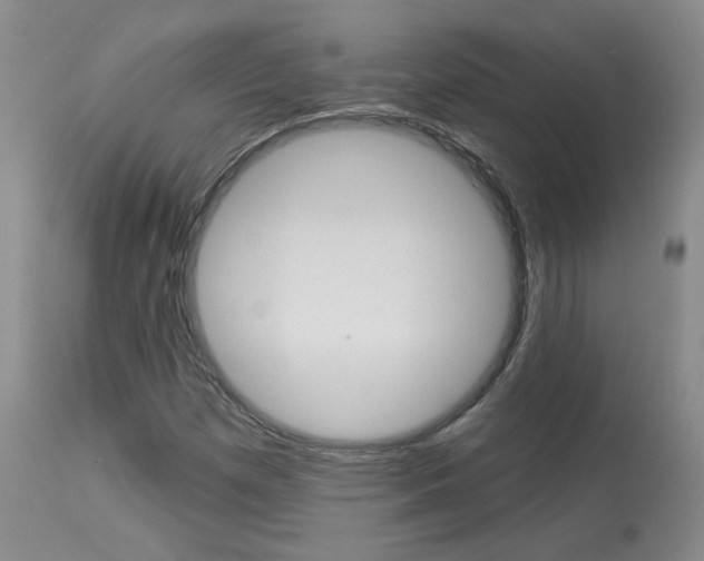 X0000114031257200910021032