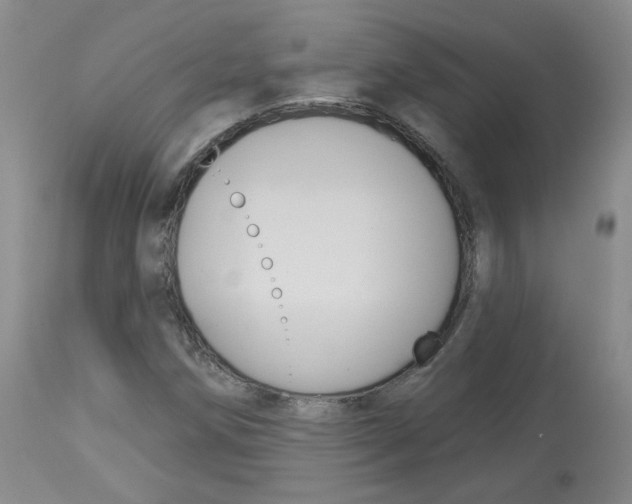 X0000114031258200910021032