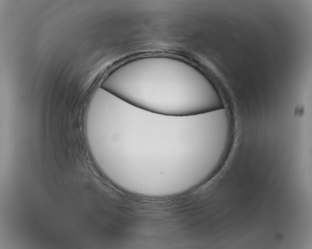 X0000114031259200910021032