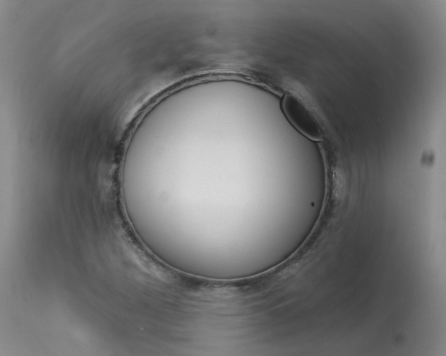 X0000114031260200910021032