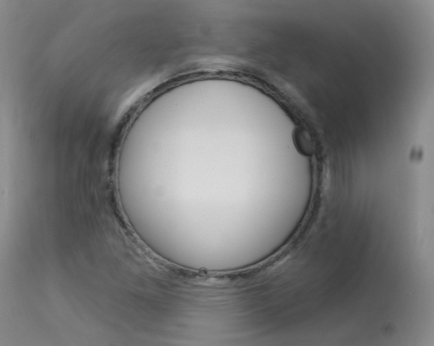 X0000114031261200910021032