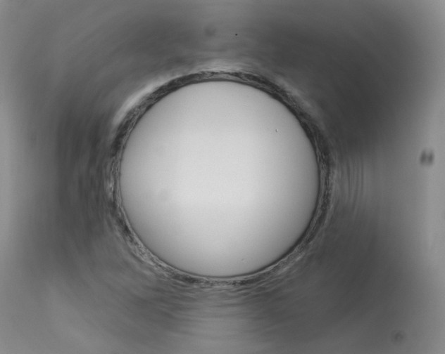 X0000114031262200910021032