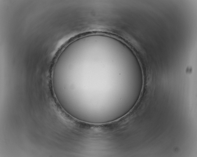 X0000114031264200910021032