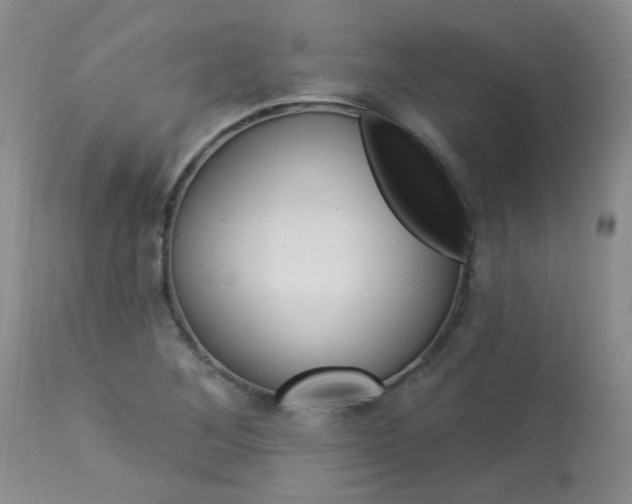 X0000114031268200910021032